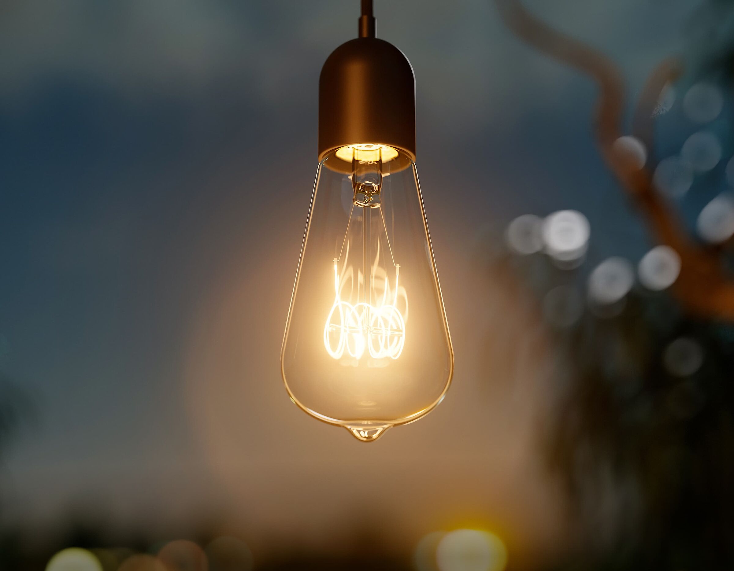Filament Edison Lampen